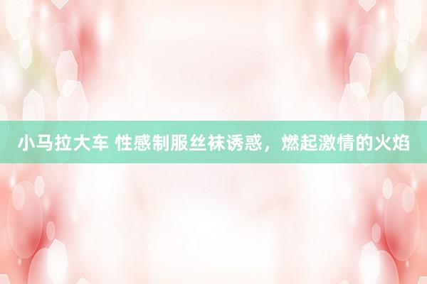 小马拉大车 性感制服丝袜诱惑，燃起激情的火焰