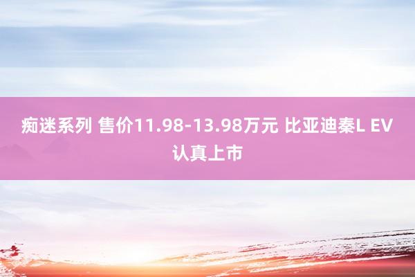 痴迷系列 售价11.98-13.98万元 比亚迪秦L EV认真上市