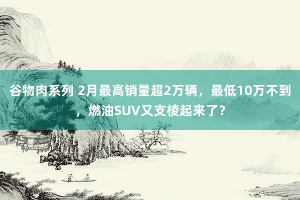 谷物肉系列 2月最高销量超2万辆，最低10万不到，燃油SUV又支棱起来了？