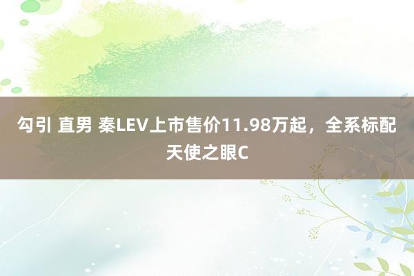勾引 直男 秦LEV上市售价11.98万起，全系标配天使之眼C