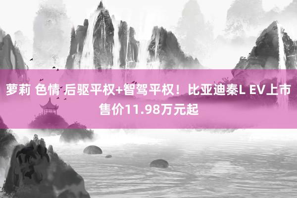 萝莉 色情 后驱平权+智驾平权！比亚迪秦L EV上市售价11.98万元起