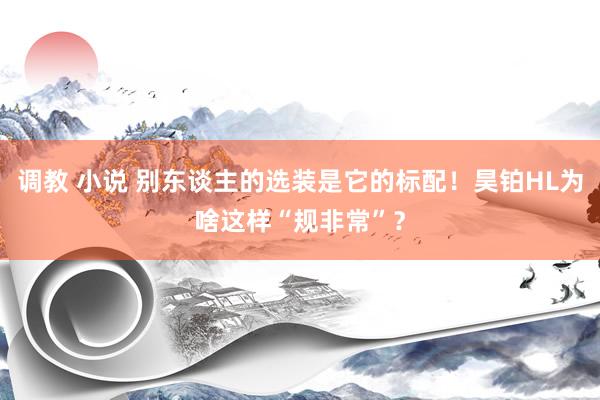 调教 小说 别东谈主的选装是它的标配！昊铂HL为啥这样“规非常”？