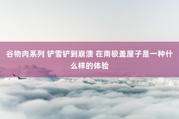 谷物肉系列 铲雪铲到崩溃 在南极盖屋子是一种什么样的体验