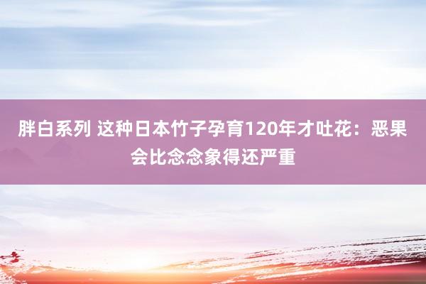 胖白系列 这种日本竹子孕育120年才吐花：恶果会比念念象得还严重