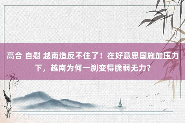 高合 自慰 越南造反不住了！在好意思国施加压力下，越南为何一刹变得脆弱无力？