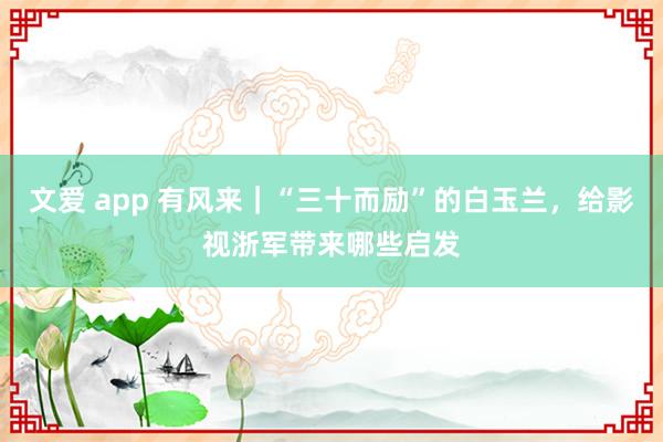 文爱 app 有风来｜“三十而励”的白玉兰，给影视浙军带来哪些启发
