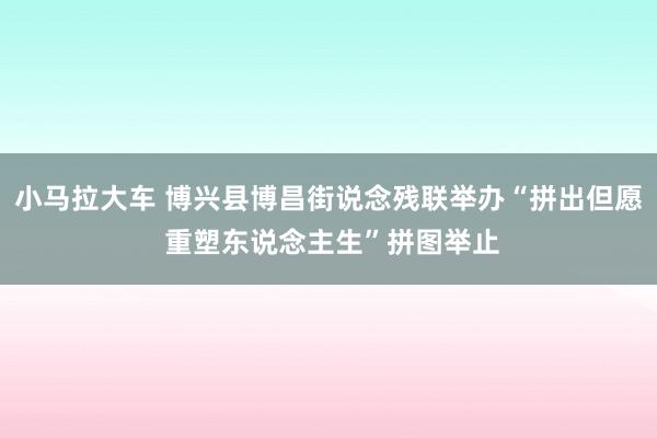 小马拉大车 博兴县博昌街说念残联举办“拼出但愿 重塑东说念主生”拼图举止