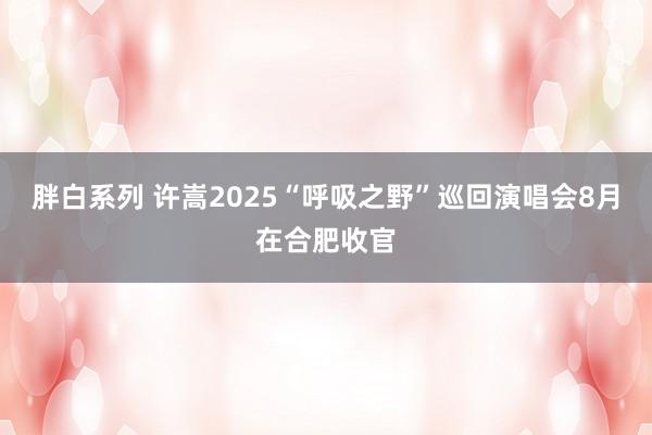 胖白系列 许嵩2025“呼吸之野”巡回演唱会8月在合肥收官